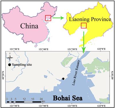 Temporal trends of organophosphate esters in a sediment core from the tidal flat of Liao River estuary, Northeast China